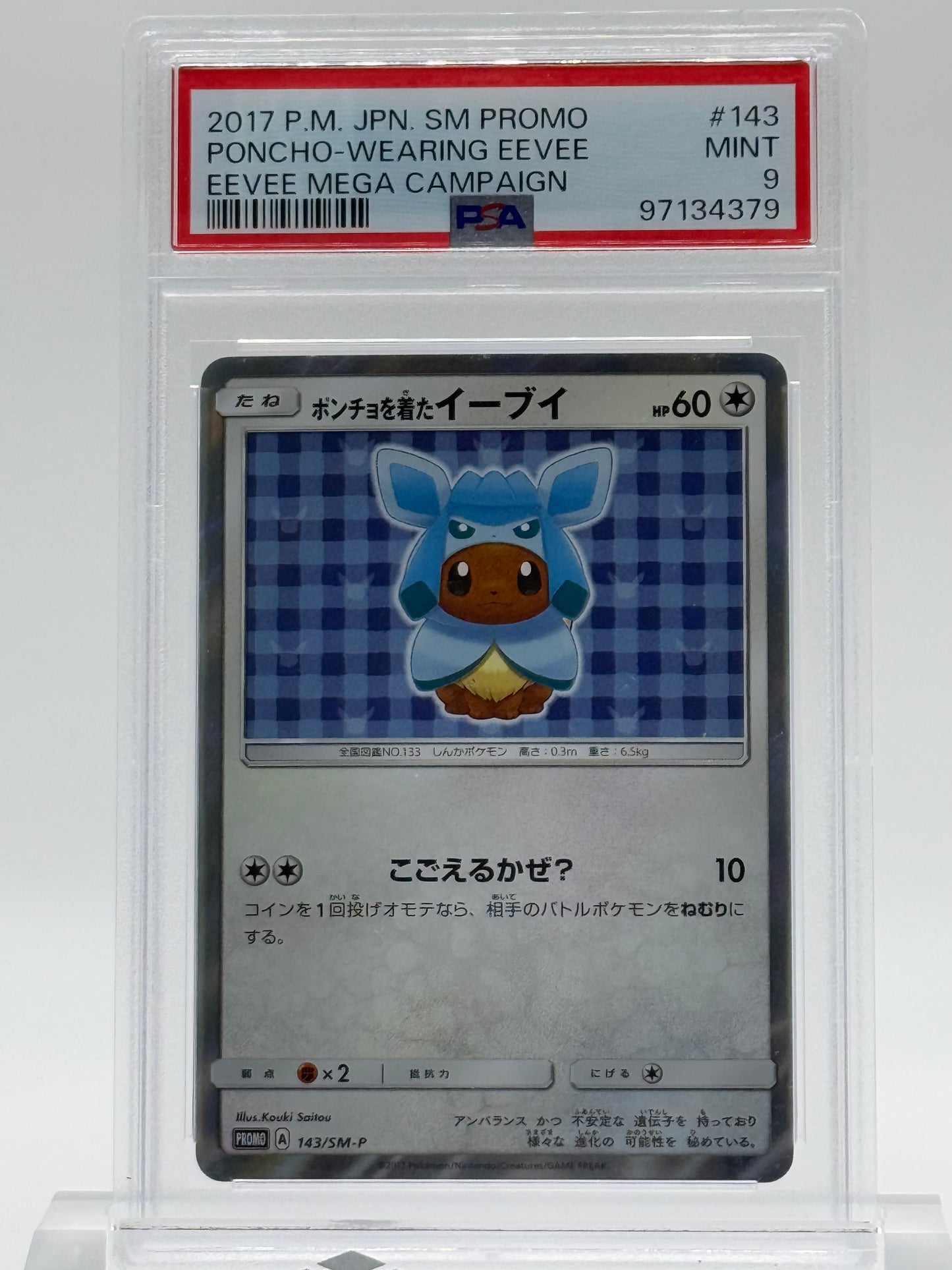 2017 P.M. JPN.SM PROMO-PSA 9- PONCHO-WEARING EEVEE-EEVEE MEGA CAMPAIGN