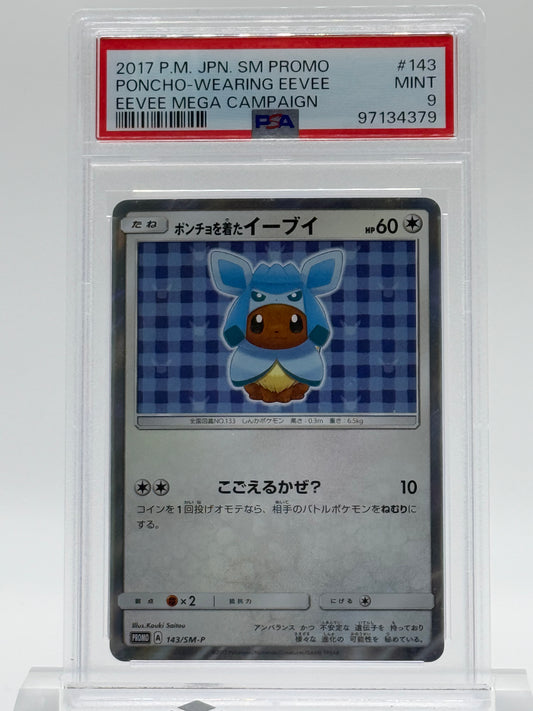 2017 P.M. JPN.SM PROMO-PSA 9- PONCHO-WEARING EEVEE-EEVEE MEGA CAMPAIGN